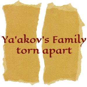 split family judah and tamar book one image