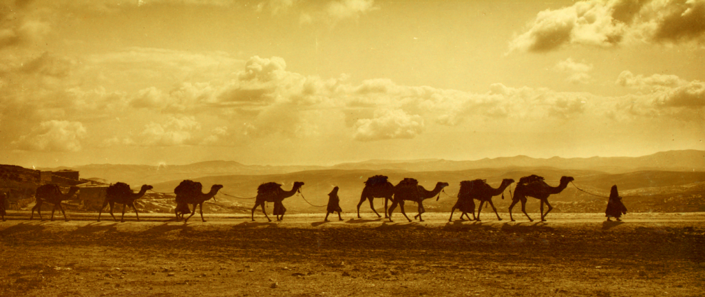 judah and tamar trilogy camel caravan